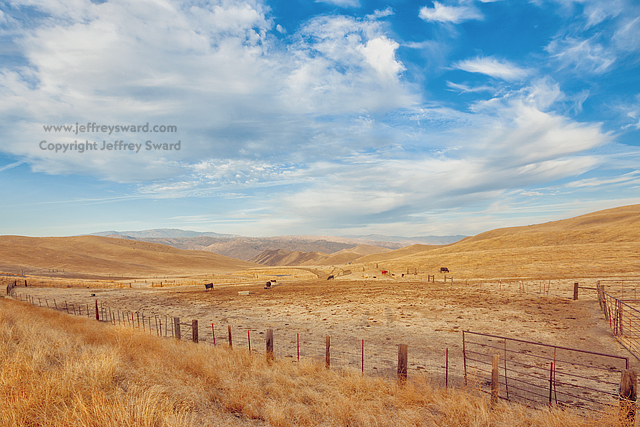 Bena Road Caliente, California Photograph by Jeffrey Sward