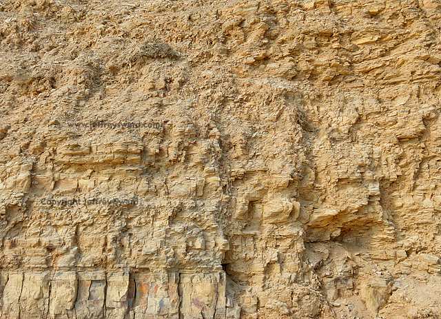 Crystal Cove State Park Laguna Beach California Photograph by Jeffrey Sward