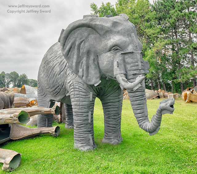 FAST Fiberglass Animals Statues Trademarks Sparta Wisconsin photograph by Jeffrey Sward