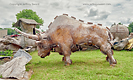 FAST Fiberglass Animals Statues Trademarks Sparta Wisconsin photograph by Jeffrey Sward
