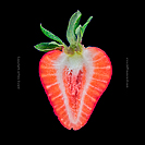 Moire Pattern photograph by Jeffrey Sward