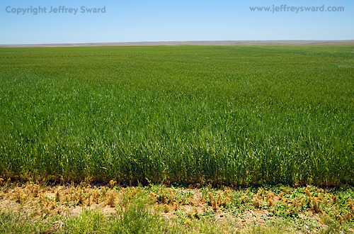 Kansas Photograph by Jeffrey Sward