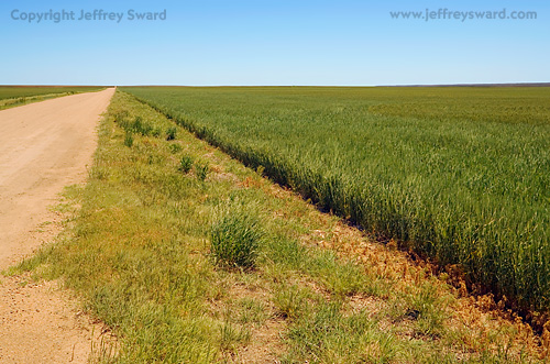 Kansas Photograph by Jeffrey Sward
