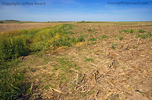 Kansas Photograph by Jeffrey Sward
