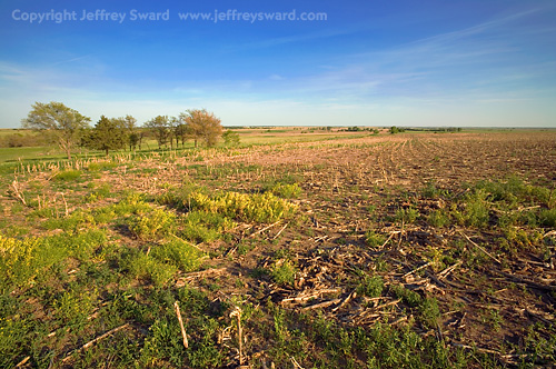 Kansas Photograph by Jeffrey Sward