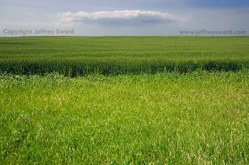 Kansas Photograph by Jeffrey Sward