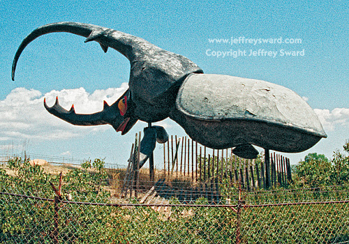 May Natural History Museum Colorado Springs Colorado Photograph by Jeffrey Sward