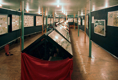 May Natural History Museum Colorado Springs Colorado Photograph by Jeffrey Sward