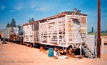 Tbd Photograph by Jeffrey Sward 