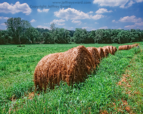 Ohio Photograph by Jeffrey Sward
