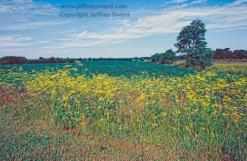 Ohio Photograph by Jeffrey Sward