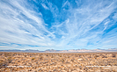 Simplicity photograph by Jeffrey Sward