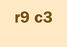 r9c3