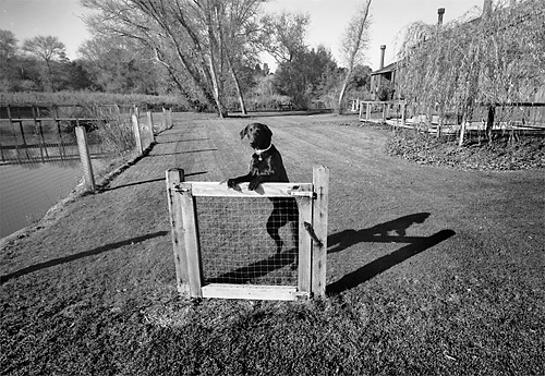 Tbd Photograph by Jeffrey Sward 